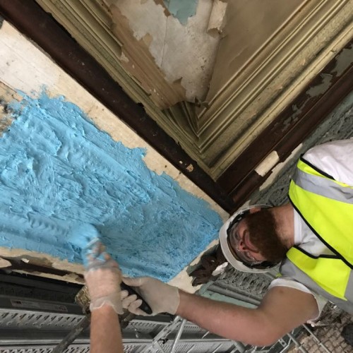 Getting heavily involved in taking 'silicone squeezes' of the insitu enrichment's